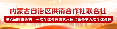 第六届理事会第十一次全体会议暨第六届理事会第九次全体会议