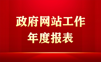 政府网站工作报表