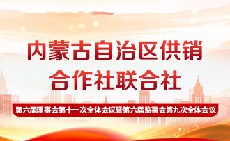 第六届理事会第十一次全体会议暨第六届理事会第九次全体会议